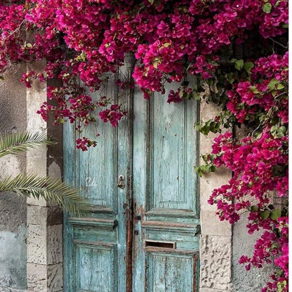 Kate 5x7ft Vintage Blue Barn Wood Door Photography Backdrop Spring Scene Nature